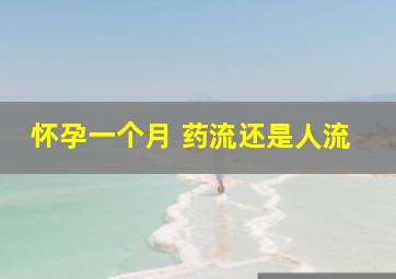 怀孕一个月 药流还是人流